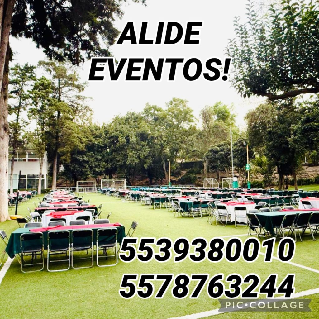 whatsapp image 2026 06 23 at 9.34.56 am (3)